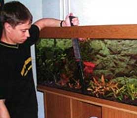 Для того, чтобы одновременно с заменой воды убрать из аквариума ил, накапливающийся на дне, используется сифон