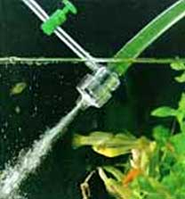 Аэрация воды в аквариуме